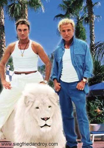 Whiskers reccomend Siegfried and roy gay