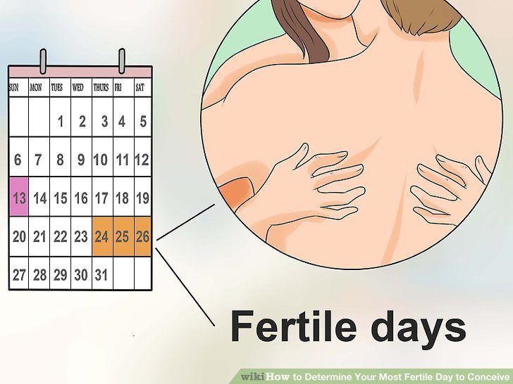 Mens fertility sperm count