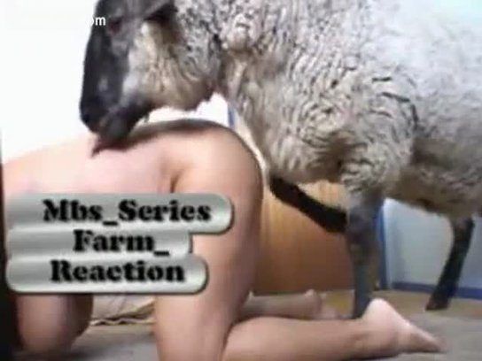 Woman fucking a goat videos