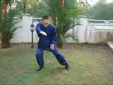 best of Fists Wudang mantis